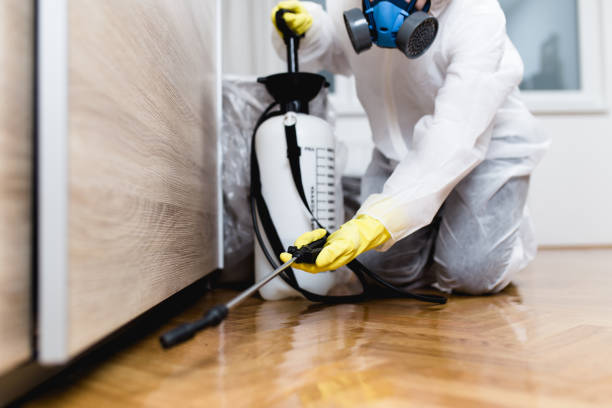 Best Pest Inspection Near Me  in Hasley Nyon, CA