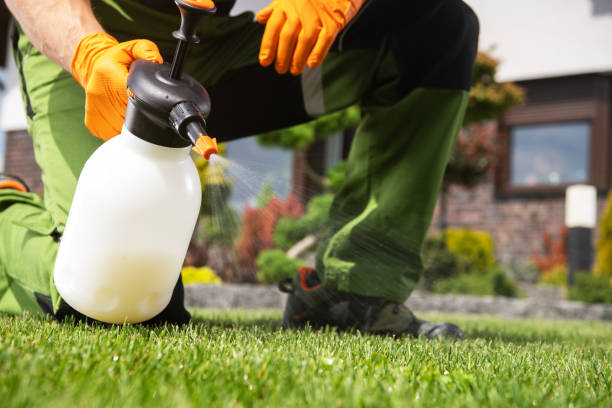 Insect Control in Hasley Canyon, CA