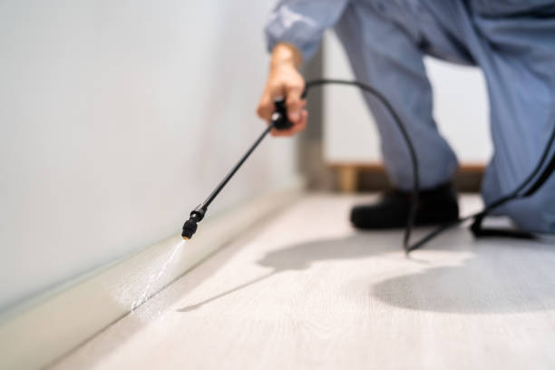 Best Commercial Pest Control Services  in Hasley Nyon, CA