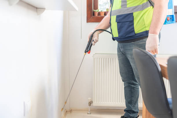 Best Pest Control Near Me  in Hasley Nyon, CA