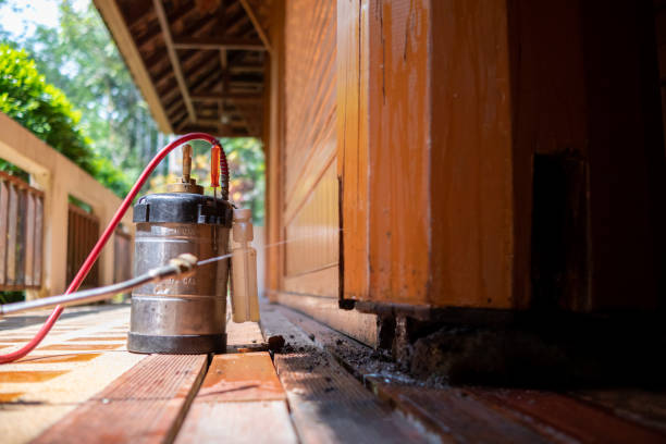 Best Pest Removal Services  in Hasley Nyon, CA
