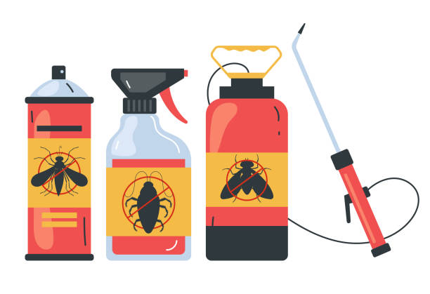 Flea Control Services in Hasley Canyon, CA