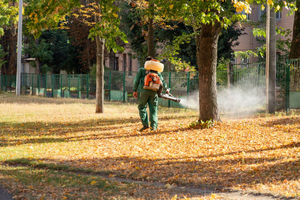 Reliable Hasley Canyon, CA Pest Control Solutions